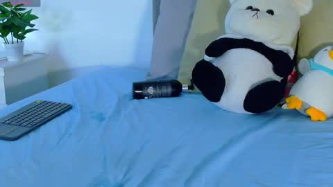 amber_bull online show from April 29, 2026, 2:10 pm