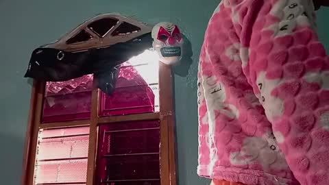 Snapshot of ameli_and_lucas chatting on November 14, 2025, 3:44 pm Amelia Lucas online show from November 14, 2025, 3:44 pm