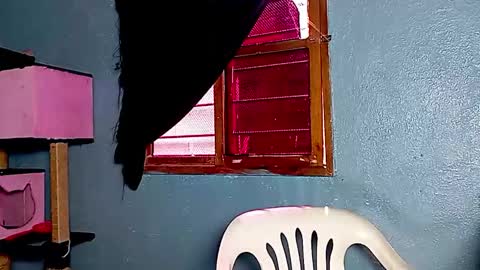 Snapshot of ameli_and_lucas chatting on November 17, 2025, 3:18 pm Amelia Lucas online show from November 17, 2025, 3:18 pm