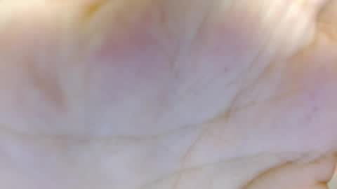 amelia_fry online show from March 5, 2025, 4:24 am