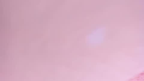 Snapshot of amelia_lov3 chatting on July 5, 2026, 4:19 am Amelia online show from July 5, 2026, 4:19 am