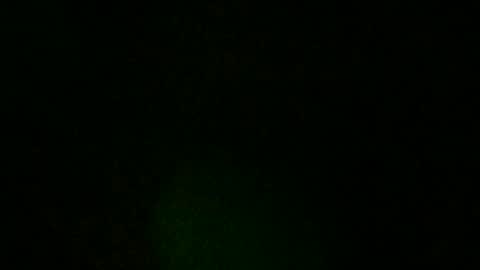 ameliedreamy online show from February 3, 2026, 11:26 am