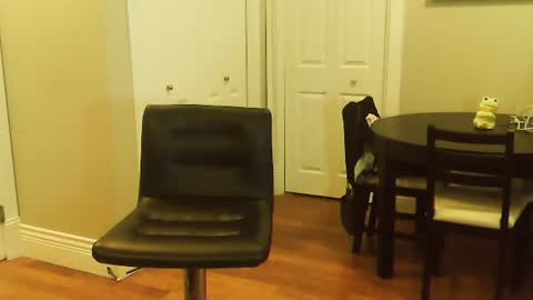 Snapshot of amera_gray chatting on January 12, 2025, 6:16 pm HOT white naughty leo xxx online show from January 12, 2025, 6:16 pm