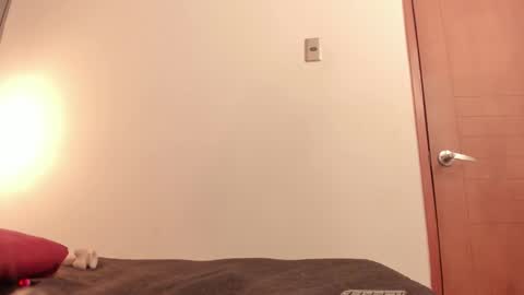 Snapshot of ammytorrez_ chatting on September 11, 2025, 11:32 am ammytorrez_ online show from September 11, 2025, 11:32 am