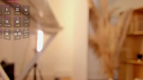 Snapshot of amy_kiitty chatting on January 18, 2025, 11:22 pm online show from January 18, 2025, 11:22 pm