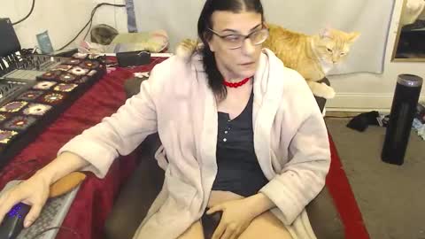 Snapshot of amyattack chatting on March 19, 2026, 8:29 am Trashely Gimpson online show from March 19, 2026, 8:29 am