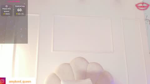 Snapshot of amykord chatting on June 11, 2026, 11:41 am Amykord online show from June 11, 2026, 11:41 am