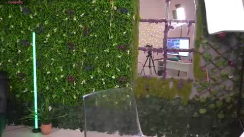 Snapshot of ana_lexus chatting on January 31, 2026, 7:11 pm Ana online show from January 31, 2026, 7:11 pm