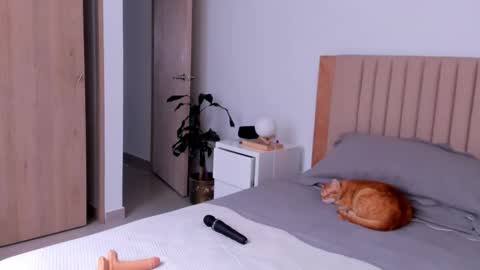 Snapshot of anahenao chatting on September 26, 2025, 8:57 pm Ana Henao or Annie... Follow me ahenaocb Insta  X online show from September 26, 2025, 8:57 pm