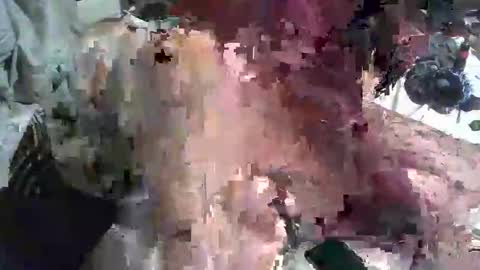 Snapshot of analwhore666 chatting on January 23, 2025, 11:37 am kinkylilanalslut online show from January 23, 2025, 11:37 am