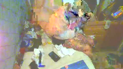 Snapshot of analwhore666 chatting on September 30, 2025, 7:52 pm kinkylilanalslut online show from September 30, 2025, 7:52 pm