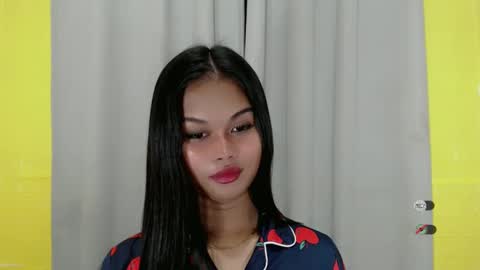 Snapshot of anaruru_ chatting on December 28, 2024, 12:35 pm ANA online show from December 28, 2024, 12:35 pm