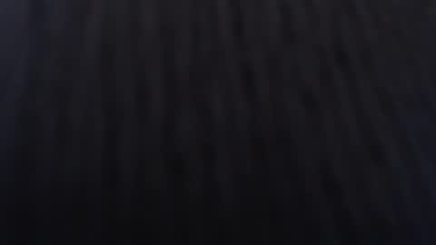 Snapshot of anddrea_ chatting on January 2, 2025, 12:03 pm online show from January 2, 2025, 12:03 pm