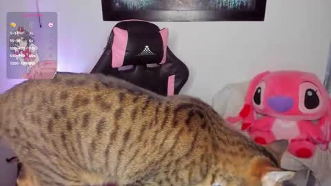 Snapshot of andreag_ chatting on March 8, 2026, 7:01 am Andrea online show from March 8, 2026, 7:01 am