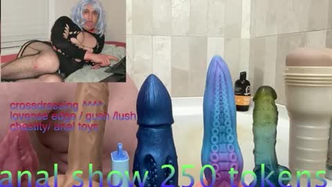 andrenoma427 online show from February 3, 2026, 8:36 pm