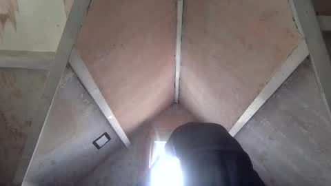 Andrew online show from April 1, 2026, 1:23 pm