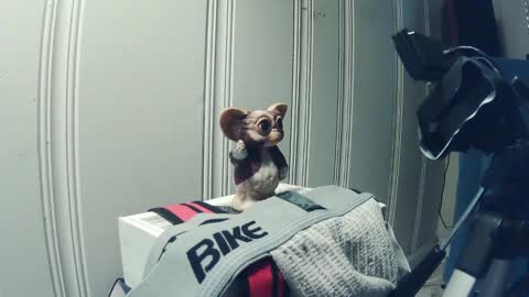 andy_552 online show from September 18, 2025, 1:46 pm