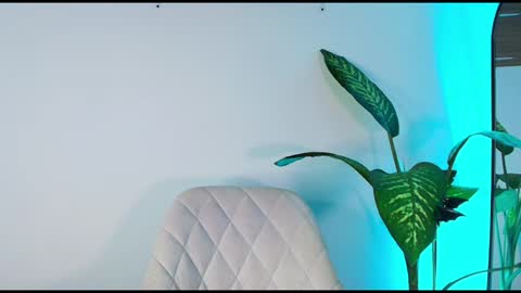 andy palmer online show from November 6, 2025, 11:44 am