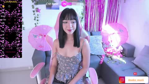          online show from December 12, 2024, 2:33 pm