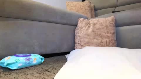 Anell online show from November 24, 2025, 4:01 am