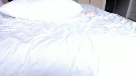 angel_andreww online show from July 29, 2026, 6:33 am
