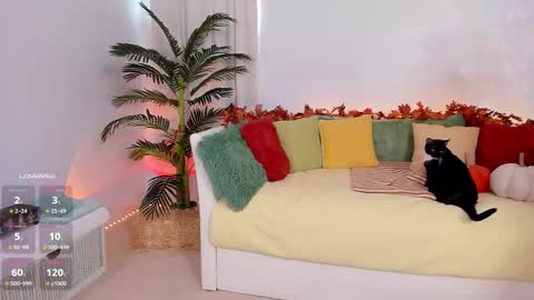 Claire - be back soon online show from November 14, 2025, 7:56 pm