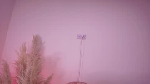 Angela Big boobs White online show from February 5, 2025, 11:02 am
