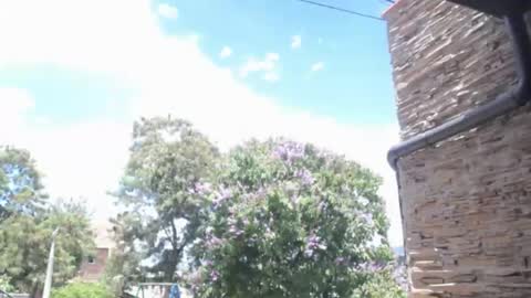 Angelmonstercock online show from July 10, 2026, 4:31 pm