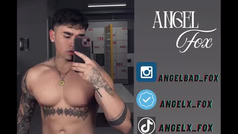 Angel Fox online show from September 9, 2025, 12:26 pm