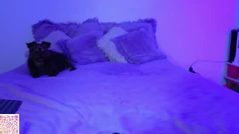 Angie Gomez  Onlyfans angie bigboobs FREE online show from April 22, 2026, 11:28 pm