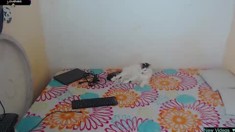 Snapshot of angielee01 chatting on January 20, 2025, 1:11 pm Angie y Andres online show from January 20, 2025, 1:11 pm