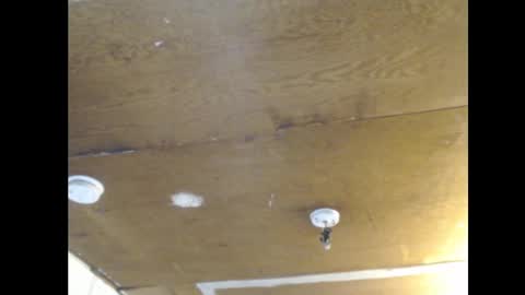 Snapshot of anilyseardor chatting on February 25, 2025, 2:11 pm Ani online show from February 25, 2025, 2:11 pm