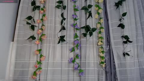 anissa_lee online show from January 2, 2025, 4:30 am