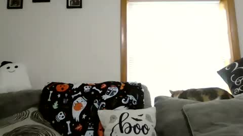 Snapshot of anne12369 chatting on October 28, 2025, 1:47 pm anne online show from October 28, 2025, 1:47 pm