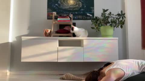 N  antics online show from September 18, 2025, 3:52 am