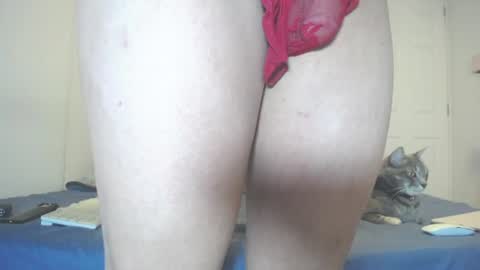  INDEPENDENT MODEL next srteam 240624 online show from July 11, 2026, 6:43 pm