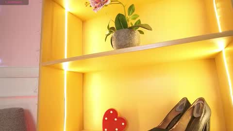 Ana online show from November 17, 2025, 12:33 pm