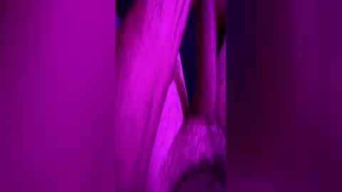 anonymous82389 online show from June 11, 2026, 11:58 pm