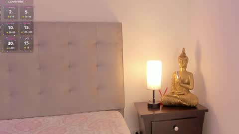 Snapshot of antonellaa_gomez chatting on January 29, 2025, 11:41 am  Antonellaa  online show from January 29, 2025, 11:41 am