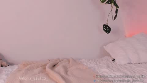 o ANTO online show from January 22, 2025, 3:07 pm