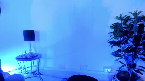 Antonia online show from December 9, 2024, 8:54 pm