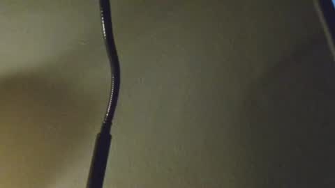 Snapshot of anytime07 chatting on March 3, 2026, 5:24 am Daddy online show from March 3, 2026, 5:24 am