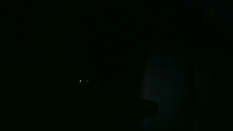 Snapshot of apixaba chatting on October 18, 2025, 7:03 pm furry bear online show from October 18, 2025, 7:03 pm