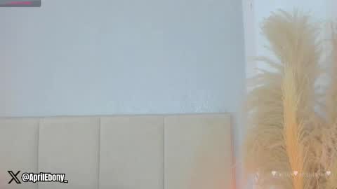 Snapshot of april_ebony18_ chatting on June 6, 2026, 10:53 am April online show from June 6, 2026, 10:53 am