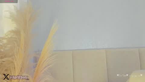 April online show from July 23, 2026, 11:08 am