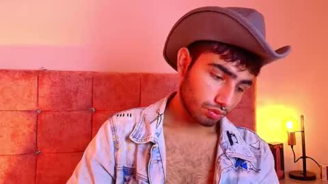 Snapshot of ares_alpha chatting on October 17, 2025, 7:49 pm Ares Alpha  online show from October 17, 2025, 7:49 pm