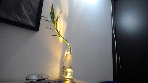 Snapshot of aria_jhonsson777 chatting on January 10, 2026, 4:09 pm 777 online show from January 10, 2026, 4:09 pm