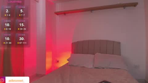 Snapshot of aribrunnet_ chatting on February 24, 2026, 3:21 pm Ari Just Ari online show from February 24, 2026, 3:21 pm