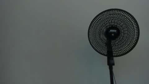 Ariel  online show from December 12, 2024, 7:30 am