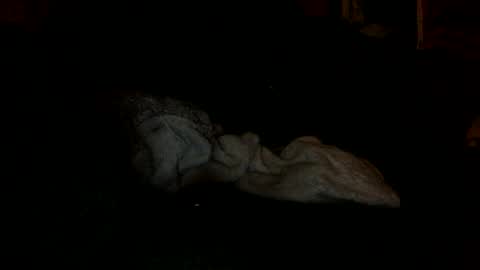 Snapshot of arley1966 chatting on November 4, 2025, 2:43 am arley1966 online show from November 4, 2025, 2:43 am